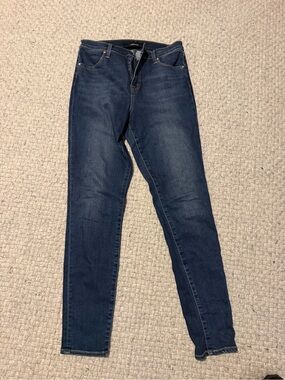 J Brand: Dark Blue Womens Skinny Jeans